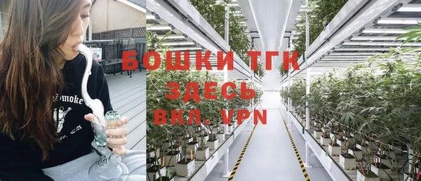 гидра Заволжск