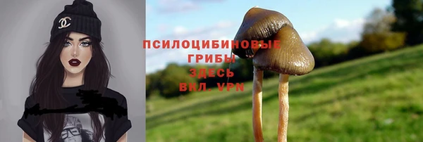 кокаин колумбия Заводоуковск