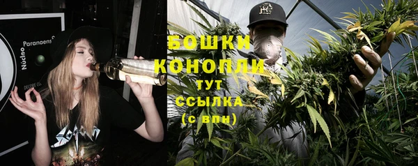 гидра Заволжск