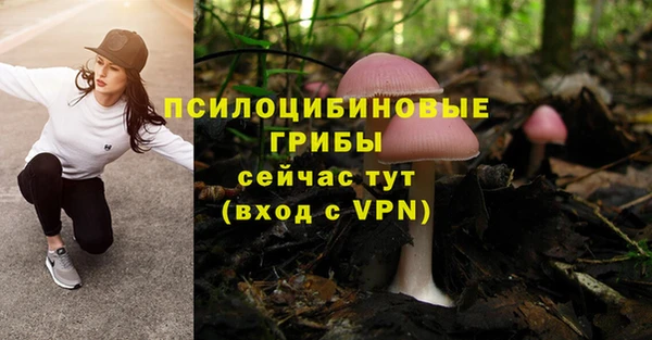 трава Заволжье