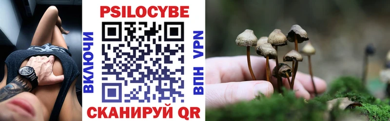 Галлюциногенные грибы GOLDEN TEACHER  Купить  Заозёрск 